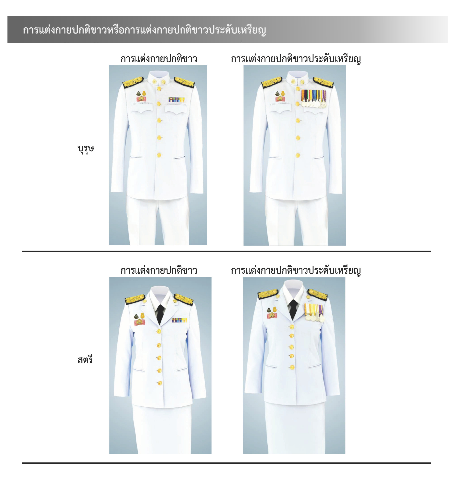 ภาพการประดับเครื่องราชอิสริยาภรณ์สำหรับคณะรัฐมนตรี แบบที่ 9